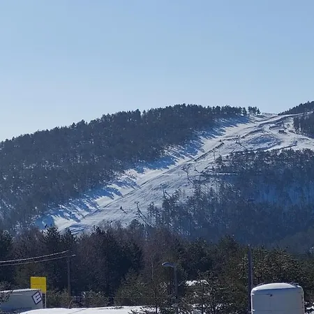 Stojic Divčibare
